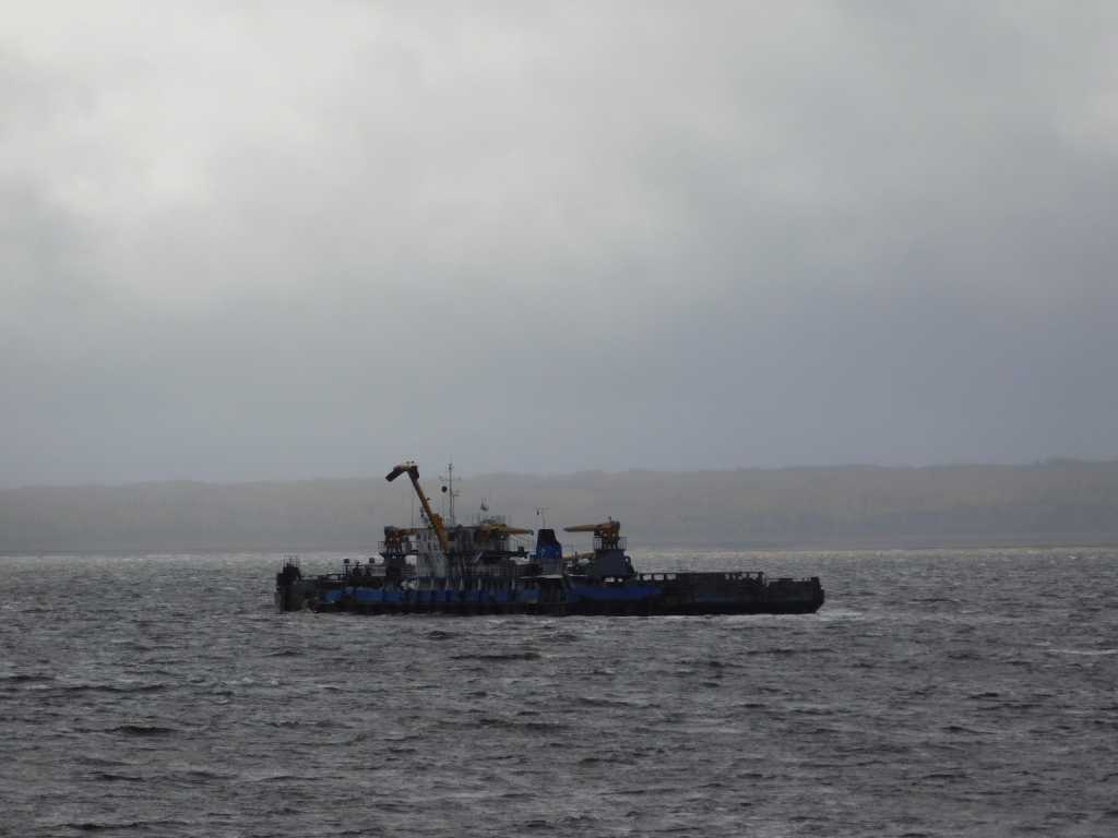 DSCN8135.JPG