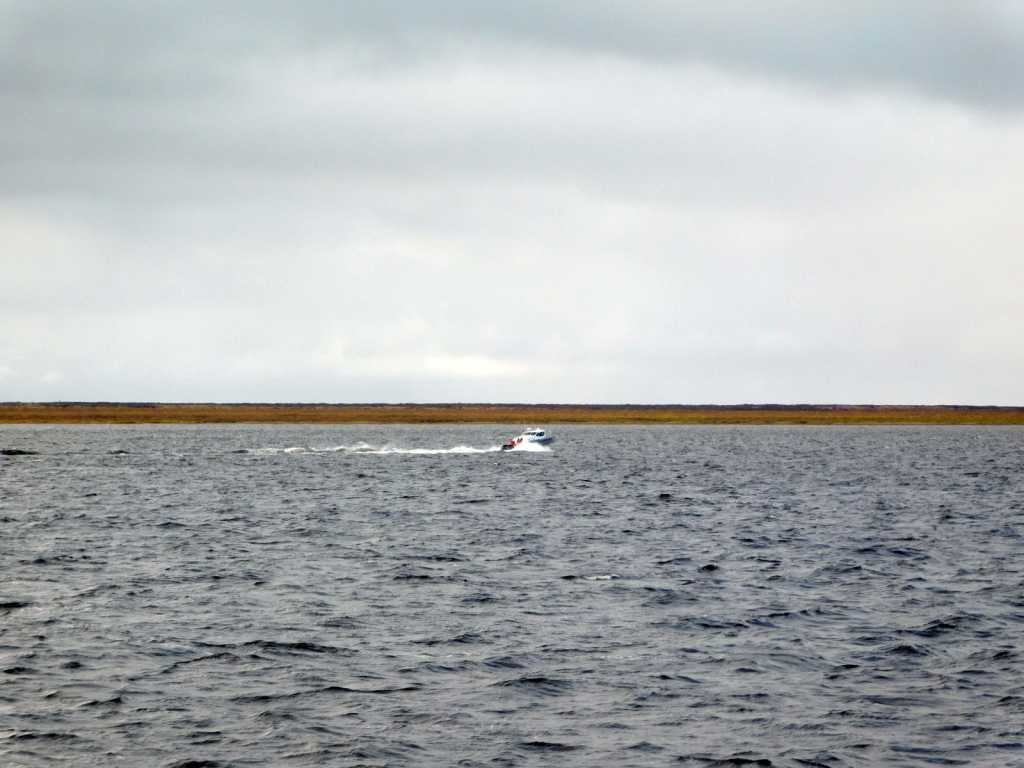 DSCN8945.JPG